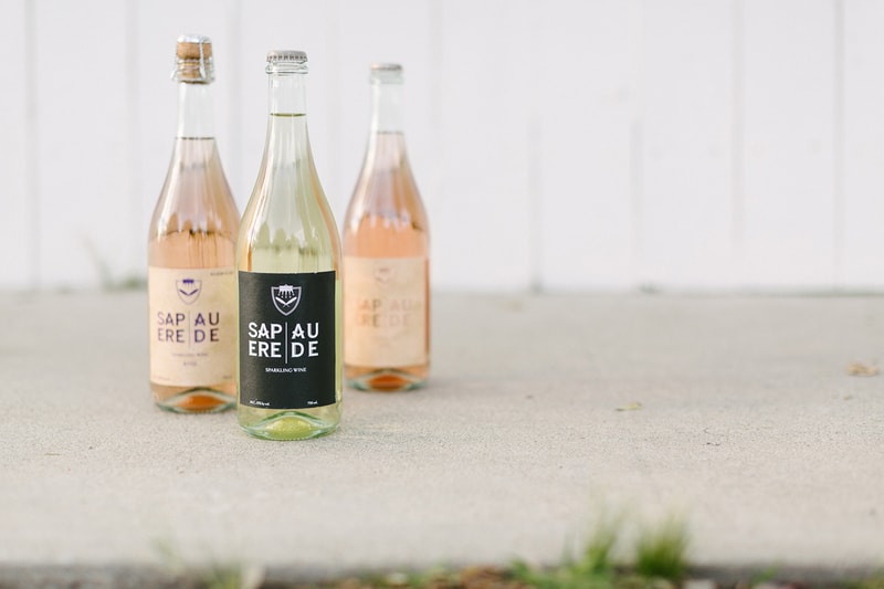 In-Between Worlds: David Airaudi Discusses Wine-Making and Music