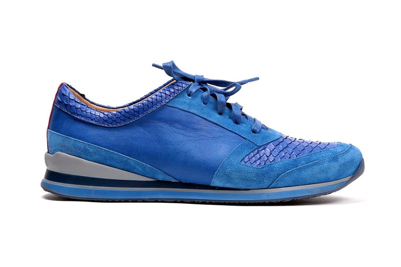 Del Toro Introduces the Python Trainer