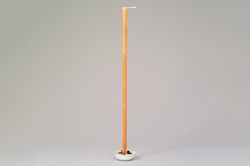 Seung Yul Oh's Unique Resin Noodle Sculptures 