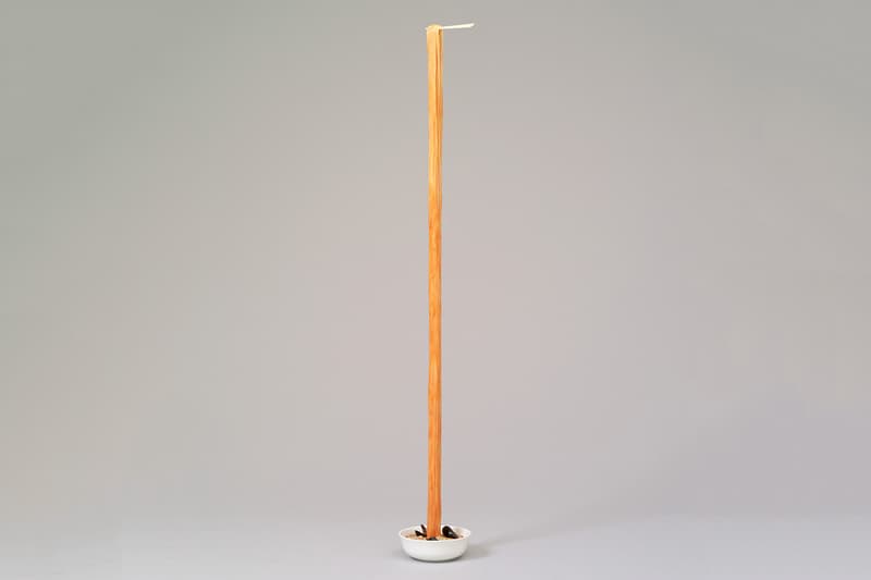 Seung Yul Oh's Unique Resin Noodle Sculptures