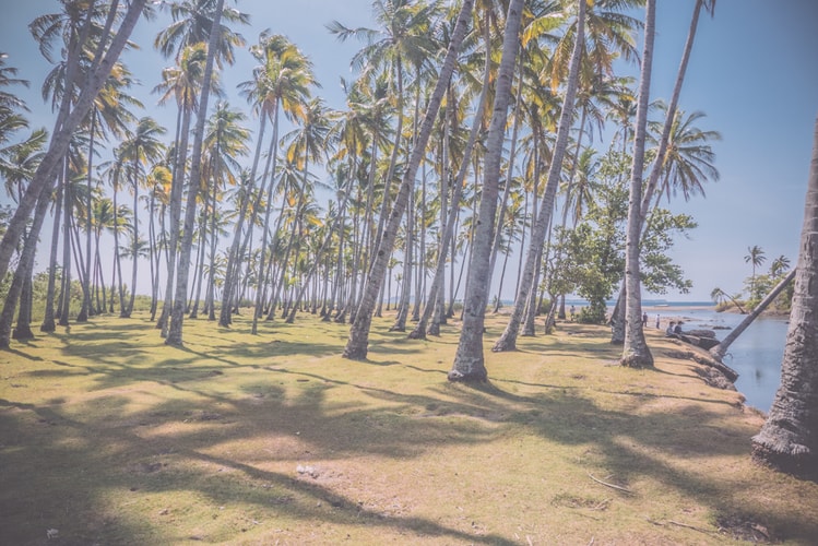 THROUGH THE LENS: Tomek Makolski