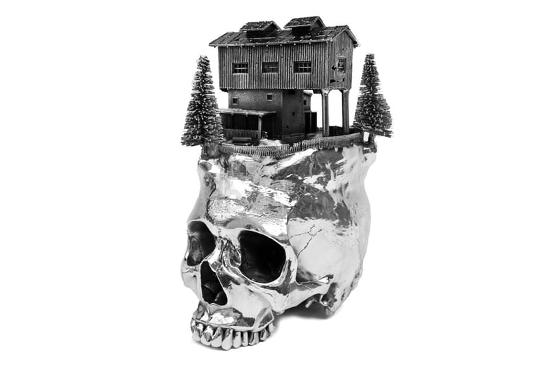 Frodo Mikkelsen's Landscapes on Skulls 