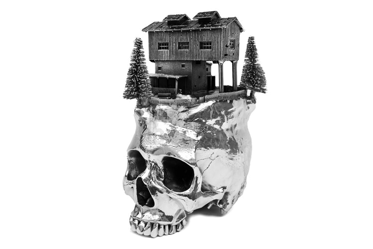 Frodo Mikkelsen's Landscapes on Skulls