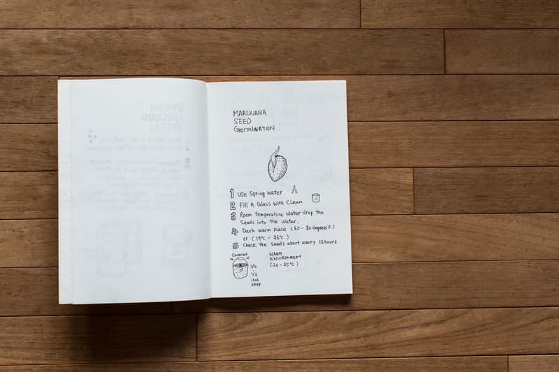 Red Bull Curates Protégés x HYPEBEAST Presents Pen & Paper with Prodip