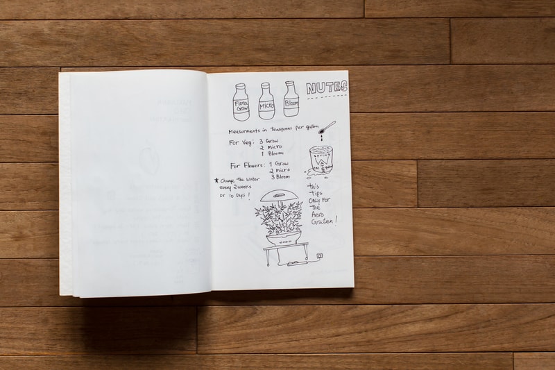Red Bull Curates Protégés x HYPEBEAST Presents Pen & Paper with Prodip