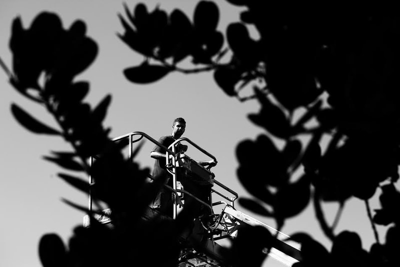 THROUGH THE LENS: POW! WOW! Hawai’i 2014