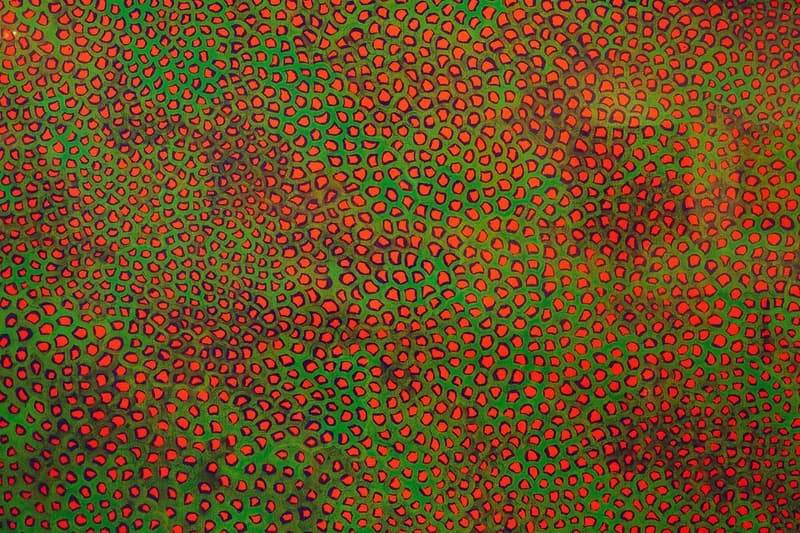 Yayoi Kusama "A Dream I Dreamed" Exhibition @ MoCA Shanghai Recap