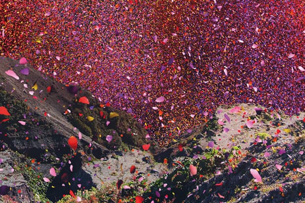 Check Out Nick Meek's Photographs of Costa Rica Covered in Flowers for Sony