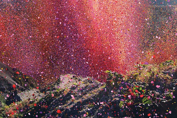 Check Out Nick Meek's Photographs of Costa Rica Covered in Flowers for Sony