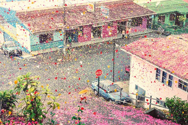 Check Out Nick Meek's Photographs of Costa Rica Covered in Flowers for Sony