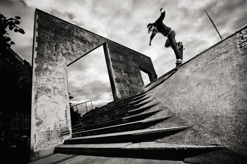 Element 'A Life In Transition' Book by Brian Gaberman