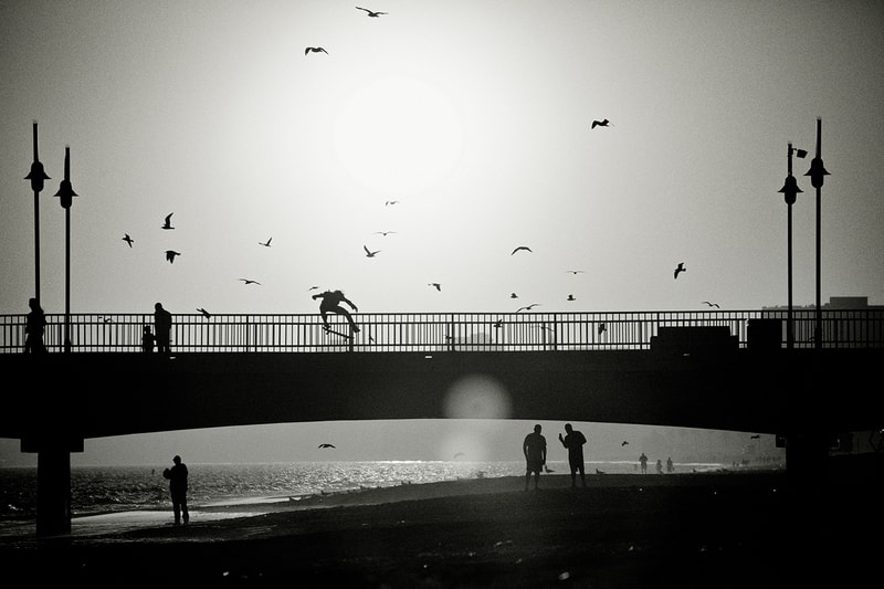 Element 'A Life In Transition' Book by Brian Gaberman