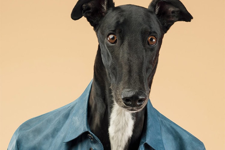 Trussardi 2014 Spring/Summer Campaign