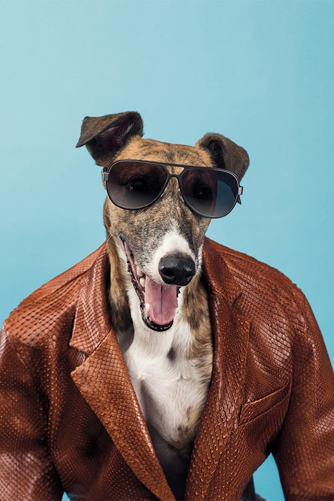Trussardi 2014 Spring/Summer Campaign