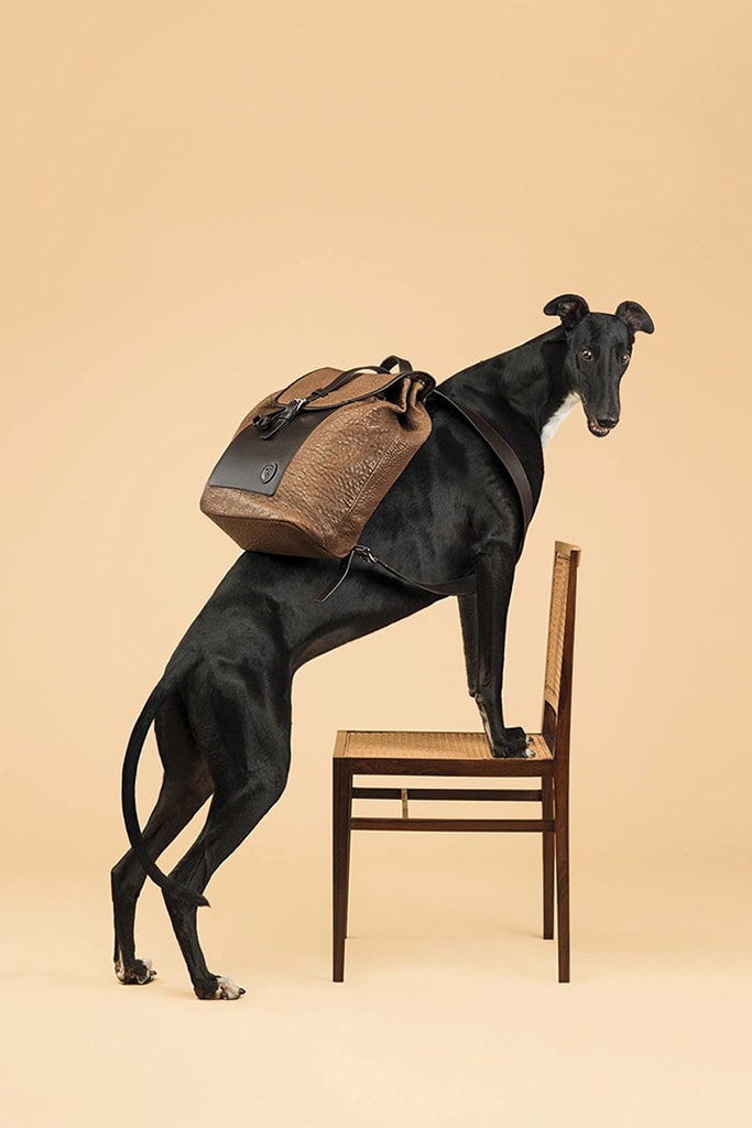 Trussardi 2014 Spring/Summer Campaign