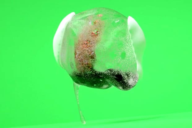 Comme des Organismes Reinterprets CdG Pieces as Life Forms