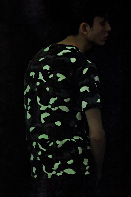 A Bathing Ape 2014 Spring/Summer e-MOOK Lookbook