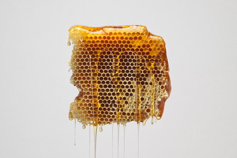 Cereal Magazine Volume 5