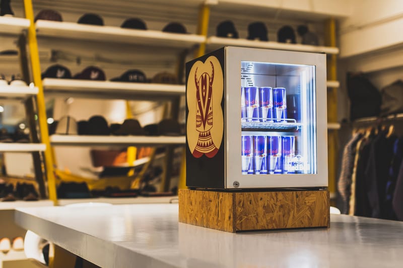 Red Bull Curates Protégés: Konzepp