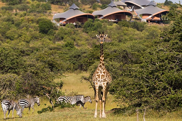 Richard Branson Opens Mahali Mzuri Safari Camp in Kenya