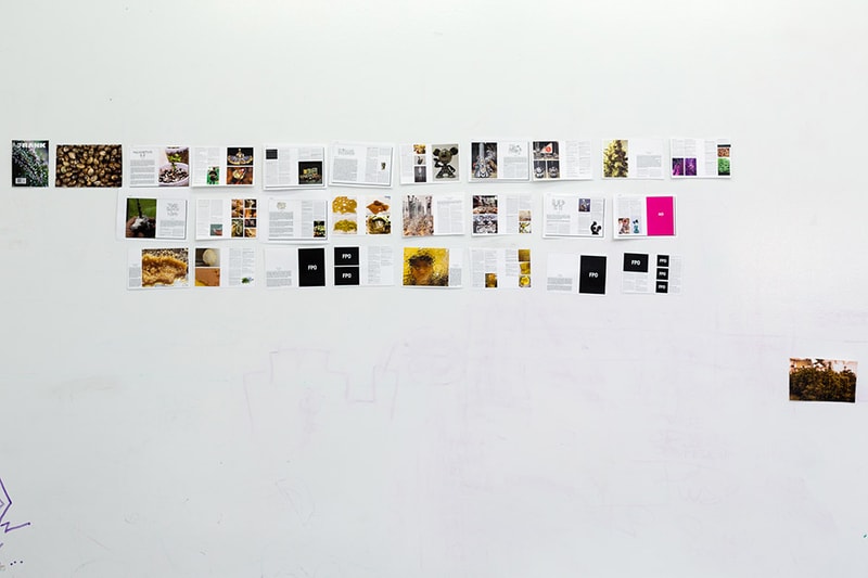 The Voice of a Generation: Publishing and Creating with Stephen Malbon of Frank151