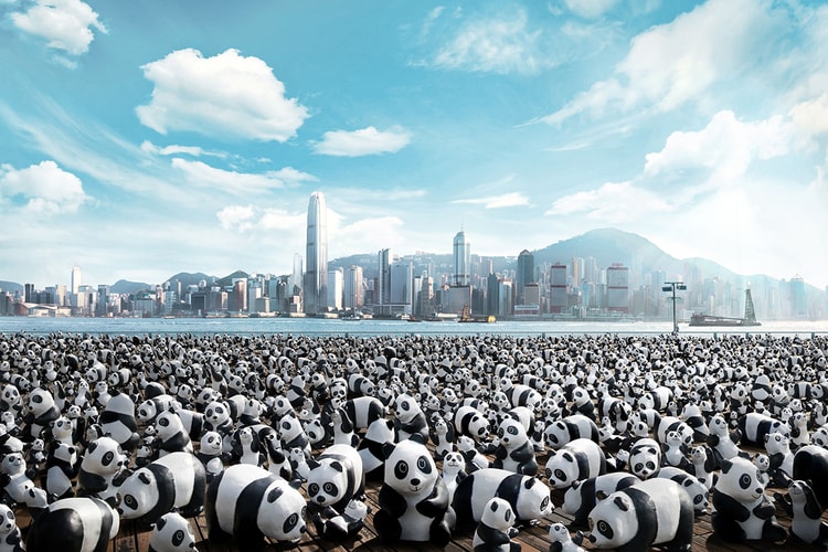 1,600 Panda World Tour Coming to Hong Kong