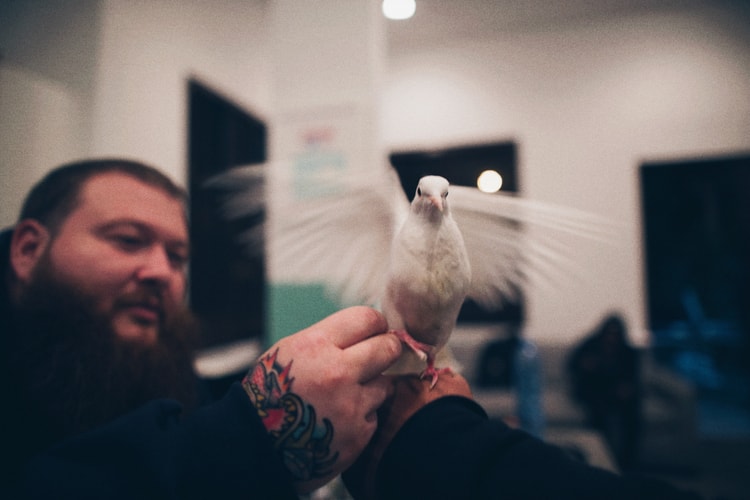 HYPEBEAST x VSCO Presets by Mr. Evidence