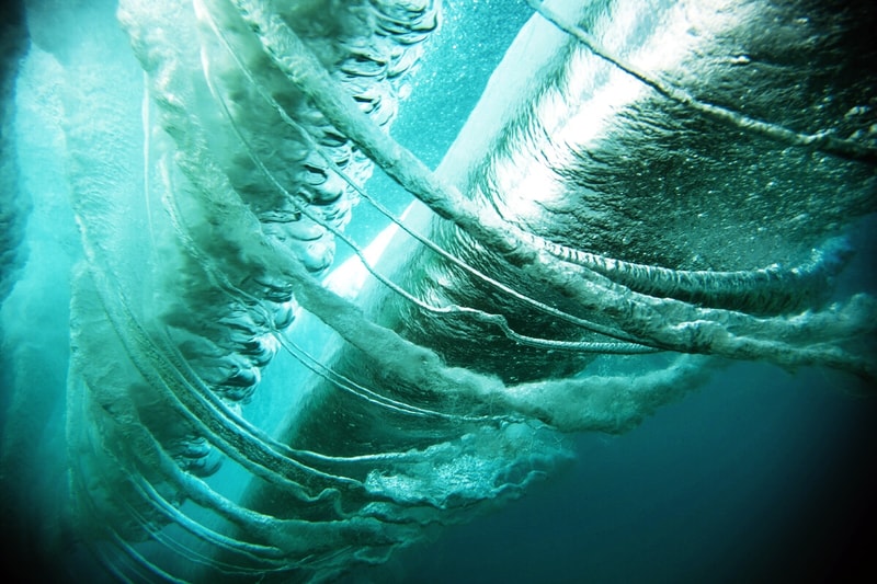 THROUGH THE LENS: Zak Noyle 