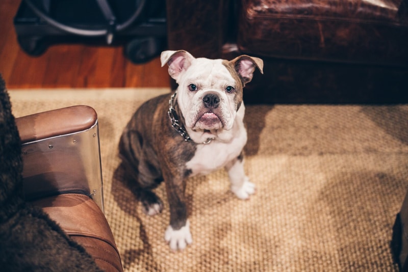 HYPEBEAST x VSCO Presets by Van Styles
