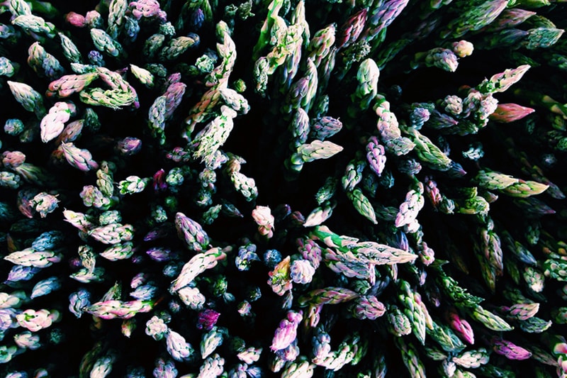 2014 iPhone Photography Awards
