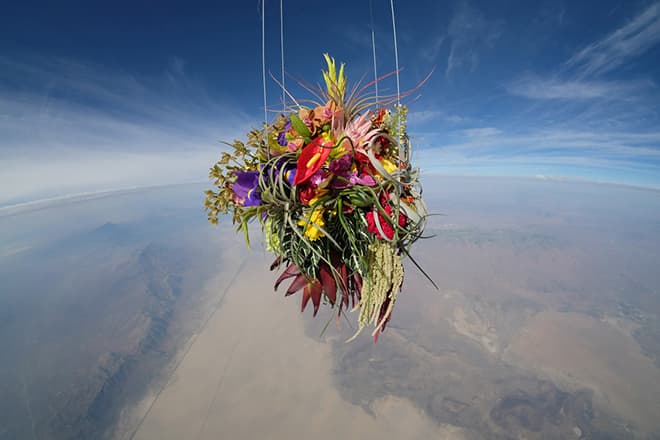 Azuma Makoto Sends Plants to Space