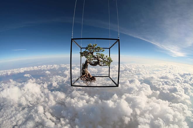 Azuma Makoto Sends Plants to Space