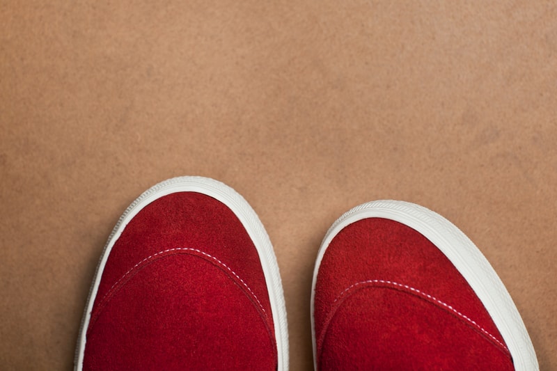 Buddy 2014 German Shepherd Slip-on Sneaker Collection