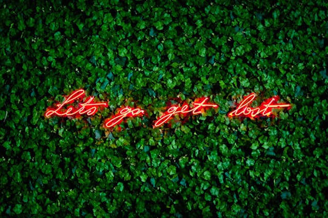 Neon Sign Installations by Olivia Steele