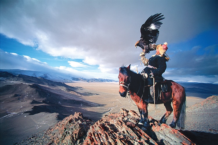 Patagonia Releases "Birds of Prey" Book
