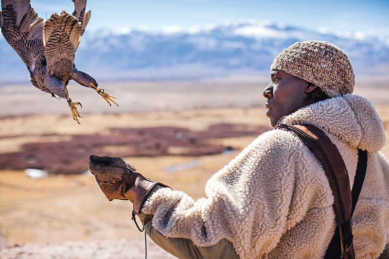 Patagonia Releases "Birds of Prey" Book