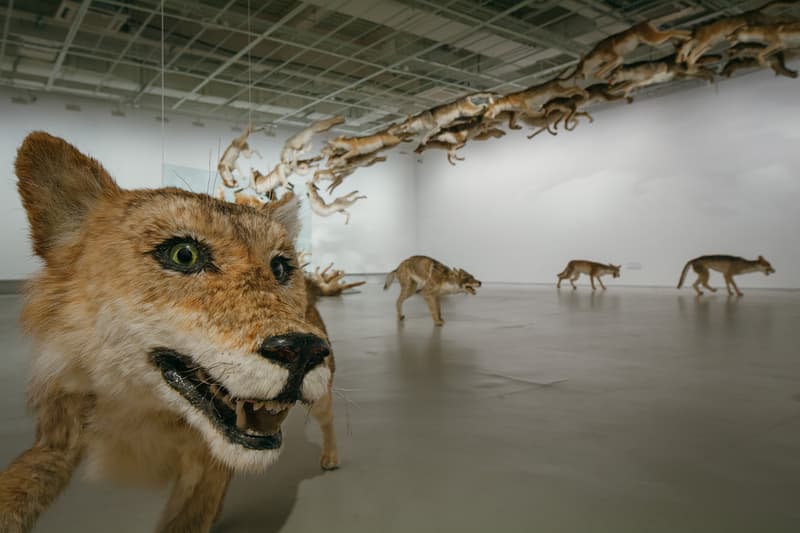 Cai Guo-Qiang "The Ninth Wave" Exhibition @ Power Station of Art