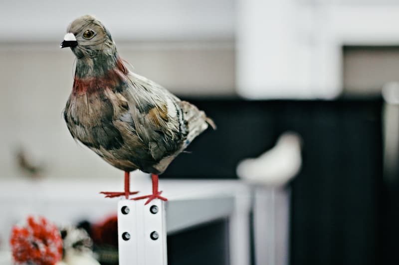 Agenda New York 2014 Summer Recap