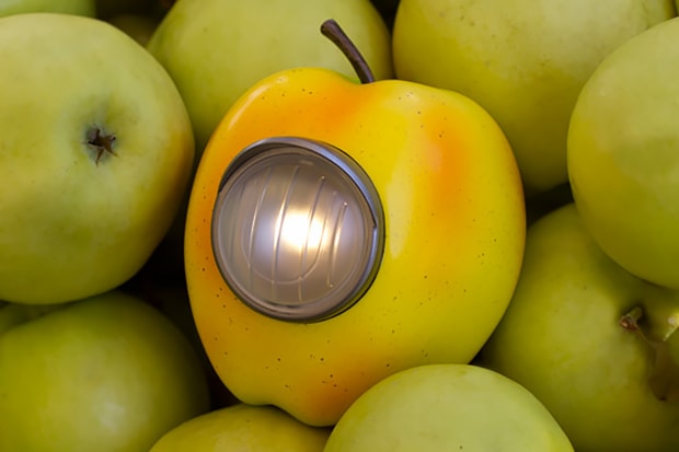 GILAPPLE Yellow Light by UNDERCOVER