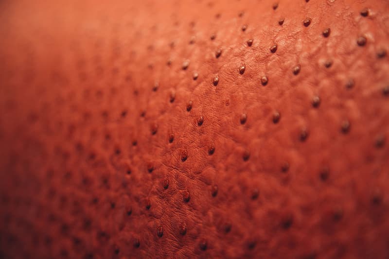 Hermès "Leather Forever" Hong Kong Exhibition Recap