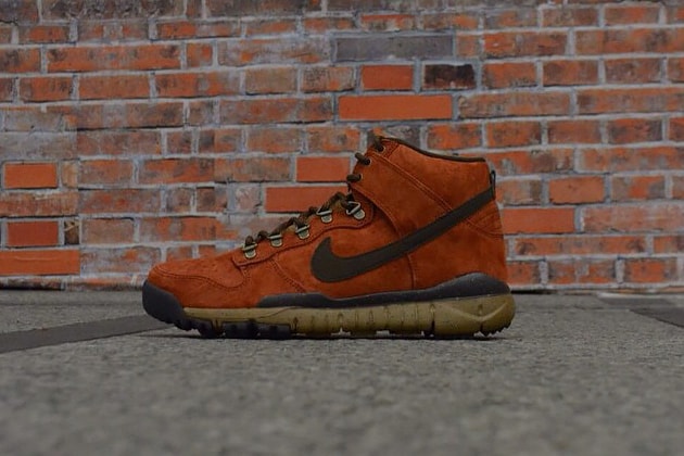 A First Look at the Poler x Nike SB Dunk High OMS