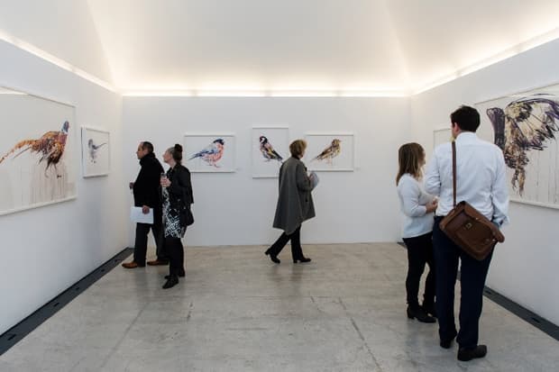 Dave White Studios "Albion" Exhibition Recap