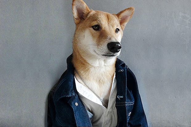 Menswear Dog is Pulling In $15,000 USD a Month