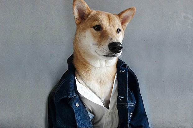 Menswear Dog is Pulling In $15,000 USD a Month