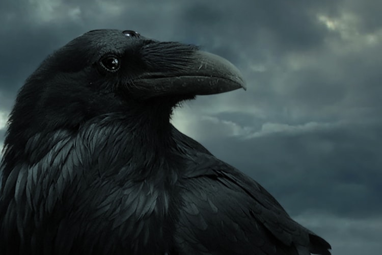 HBO Teases Season 5 of 'Game of Thrones' with Website and Video