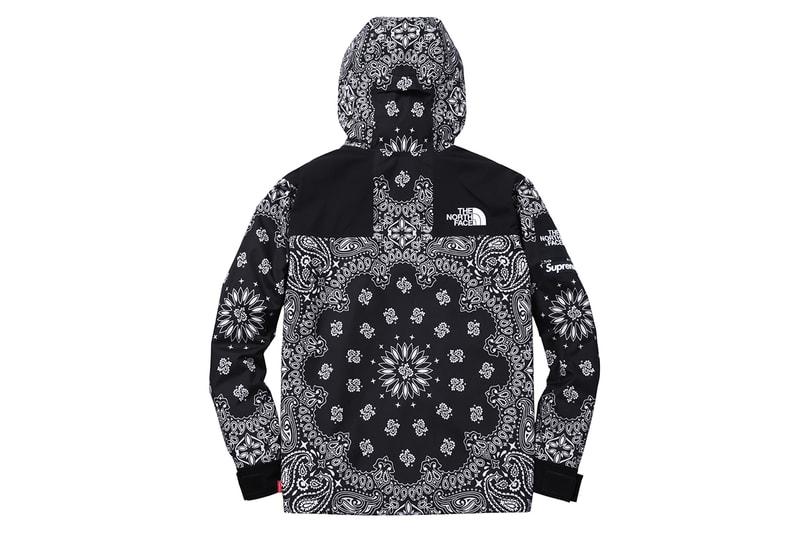 Supreme x The North Face 2014 Fall/Winter Collection