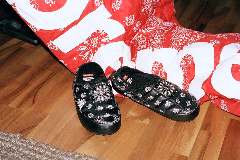 Supreme x The North Face 2014 Fall/Winter Collection