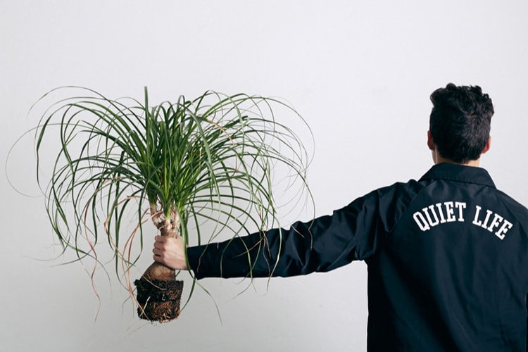 The Quiet Life 2014 Holiday "ATWATER" Lookbook
