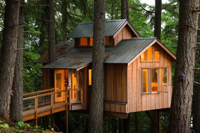 Explore the Homes of Adults Who Live In Treehouses