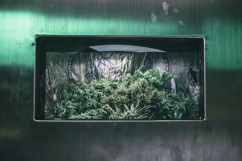 Grenco Science LA Pop-Up Store @ The Kayo Store